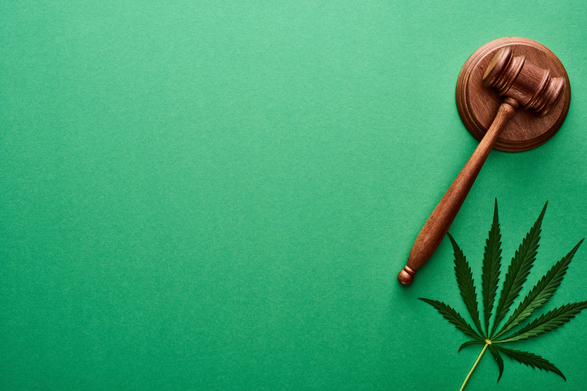 top view of green cannabis leaf near wooden gavel on green background with copy space top view of green cannabis leaf near wooden gavel on green background with copy space