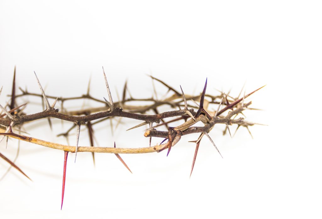 crown and nails of Jesus Christ. concept of christian religion.
